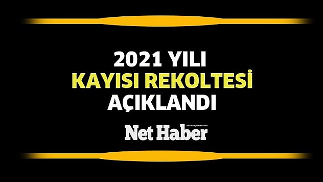 Kayısı rekoltesi açıklandı