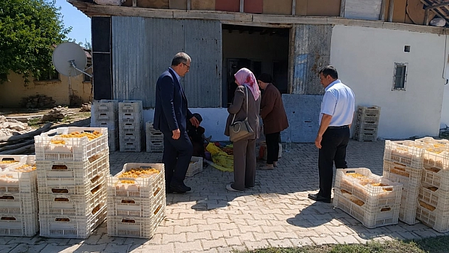Kayısı tartışması büyüyor: BBP İl Başkanı Duman, asıl tehlilkeyi işaret etti!