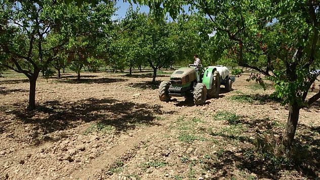 Malatya'da kayısı için kritik dönem: Yağış öncesi ve sonrası ilaçlama şart