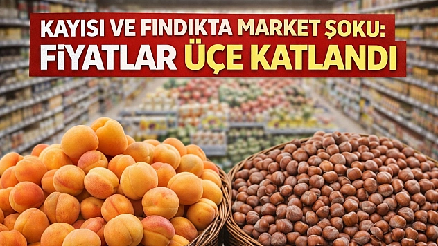 Kayısı ve Fındıkta Market Şoku: Fiyatlar Üçe Katlandı