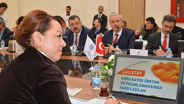 Kayısı çalıştayının sonuç bildirgesi 