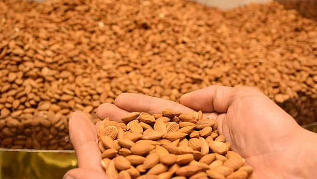 Kayısı çekirdeğinden 17,6 milyon dolar gelir