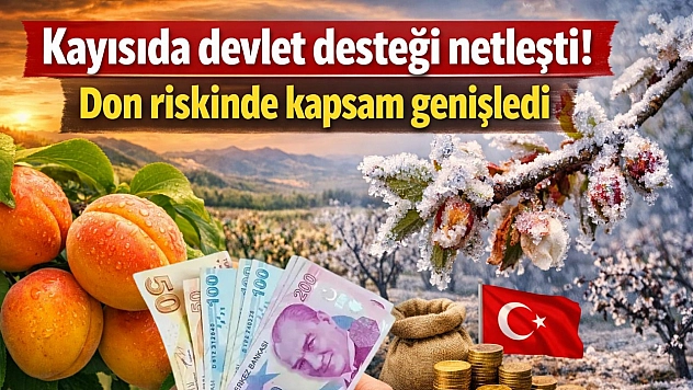 Kayısıda devlet desteği netleşti! Don riskinde kapsam genişledi