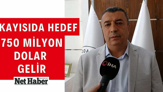 Kayısıda hedef 750 milyon dolar gelir