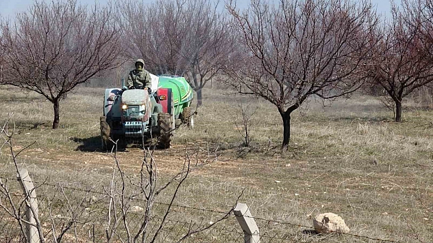 Malatya'daki üreticilere kayısı uyarısı! Doğru zamanda uygulayın!
