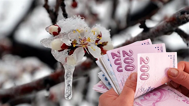 Kayısıya 45 milyon liralık ödeme!