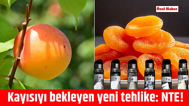 Kayısıyı bekleyen yeni tehlike: NTE!