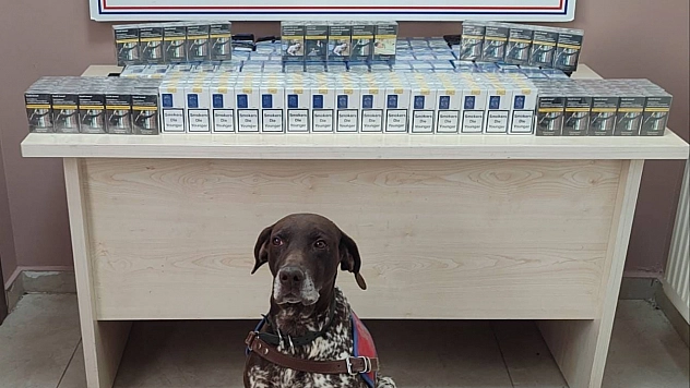 Kayseri'de kaçak sigara operasyonu