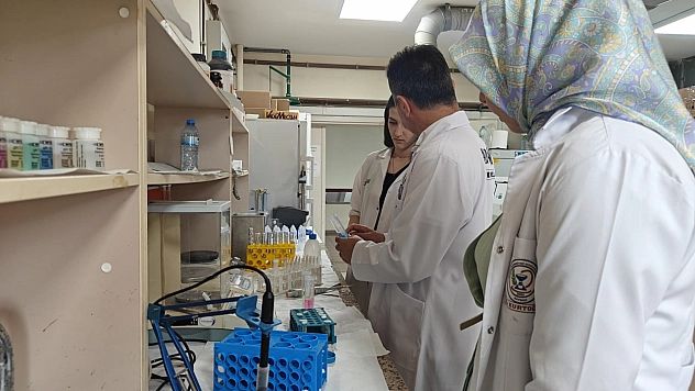 Kenelere Karşı Devrim Niteliğinde Losyon