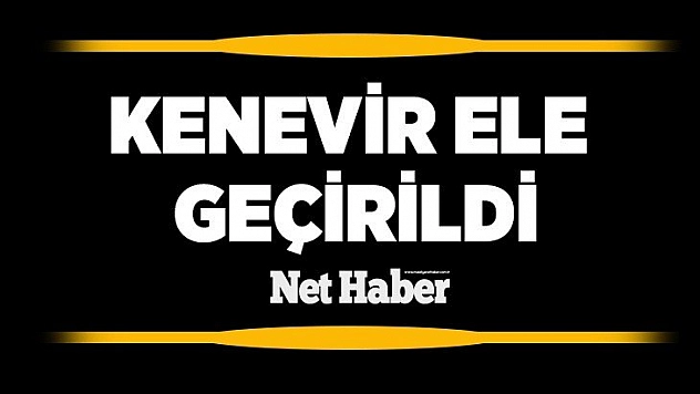 Kenevir ele geçirildi