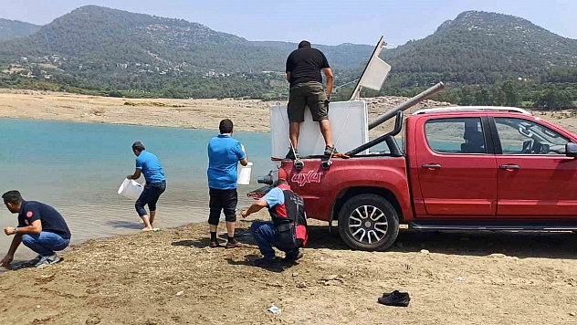 Kilgen Barajı'na 321 bin yavru sazan, baraja bırakıldı