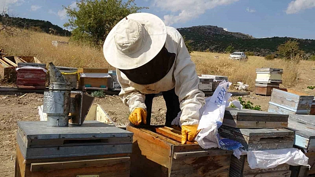 Malatya'da 150 kovandan çıkan bal yok sattı