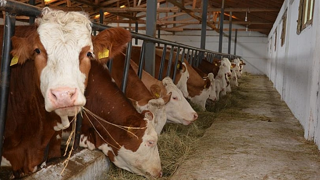 Kırsalda bereket projesi'nde asil ve yedek listeler açıklandı