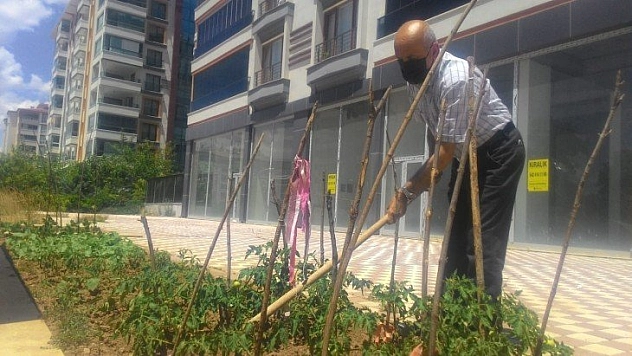 Apartmanın önüne hobi bahçesi