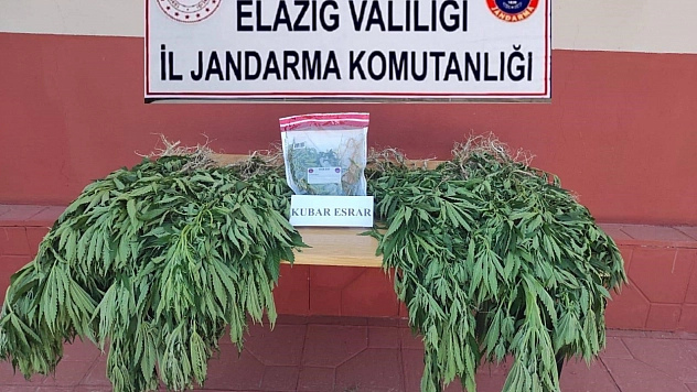 Komşuda kenevir operasyonu