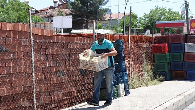 Kayısıda fiyat 90 kuruş oldu