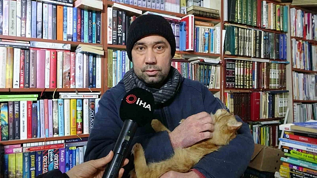 Konteyner Sahaf, sokak kedilerine sıcak bir yuva oluyor