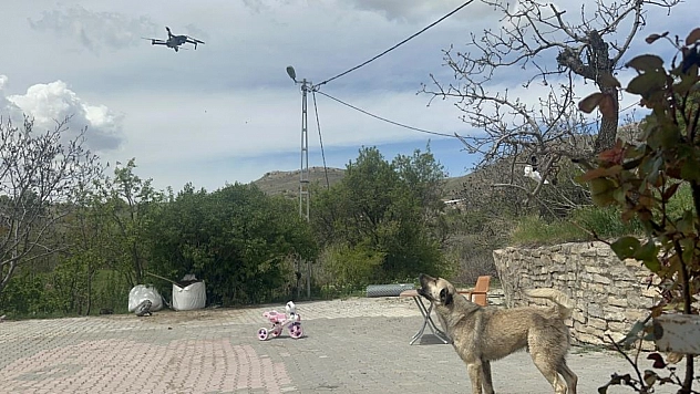 Köpek dronun üstüne atlamaya çalıştı!