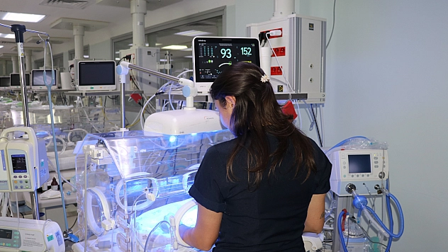 Küçük bedenleriyle büyük yaşam mücadelesi veriyorlar