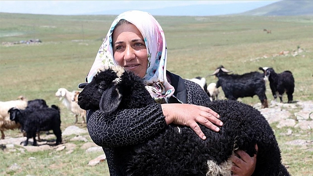 Küçükbaş hayvancılıkta dev destek projesi sonuçlandı: 20 günlük süre başladı!