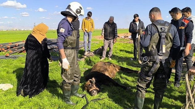 Kuyuya düşen ineği itfaiye ekipleri kurtardı