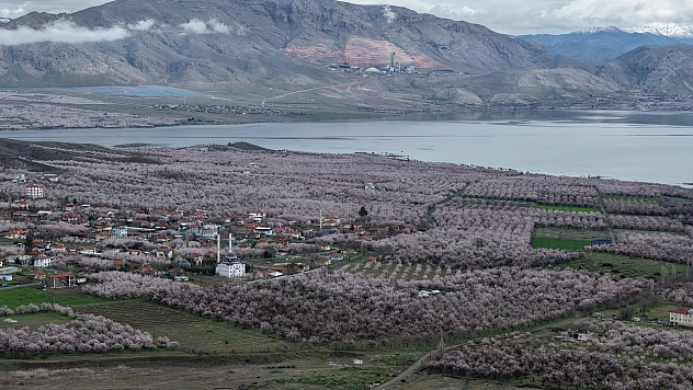 Malatya beyaz gelinliğini giydi: 9 milyon ağaç çiçek açtı!
