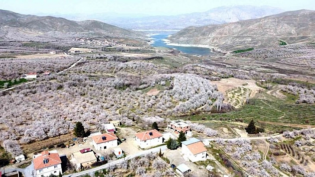 Malatya beyaza büründü