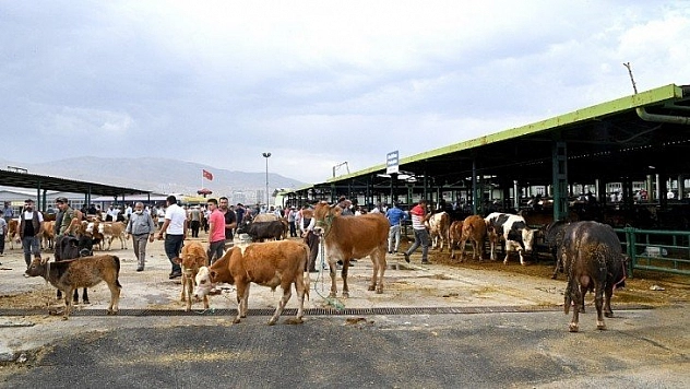 Kurban Bayramı yoğunluğu