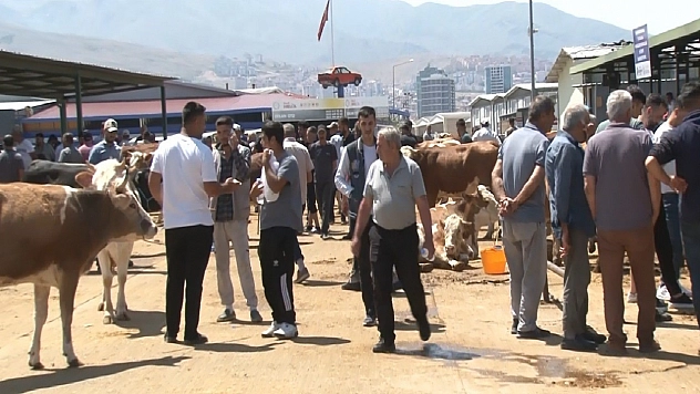 Fiyatlar arttı, talep azaldı: Malatya'da Kurban Pazarı beklenen hareketliliği göremedi!