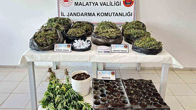 Malatya'da zehir tacirlerine darbe: Kilo kilo esrar yakalandı