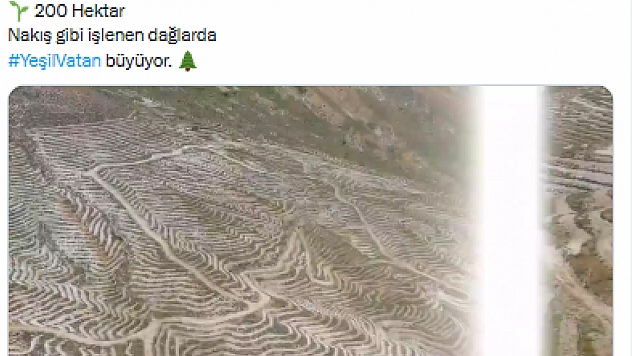 Malatya'da 200 hektar alan yeşile bürünüyor!