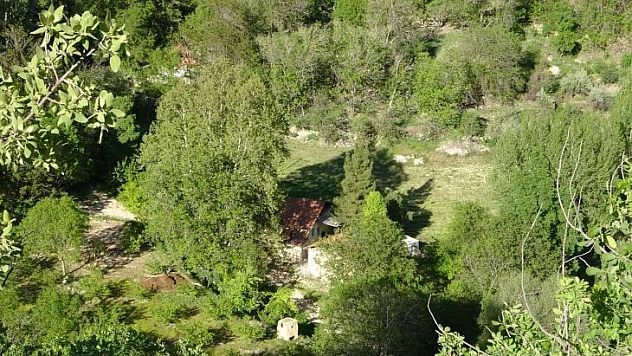 250 yıllık ağaca koruma talebi