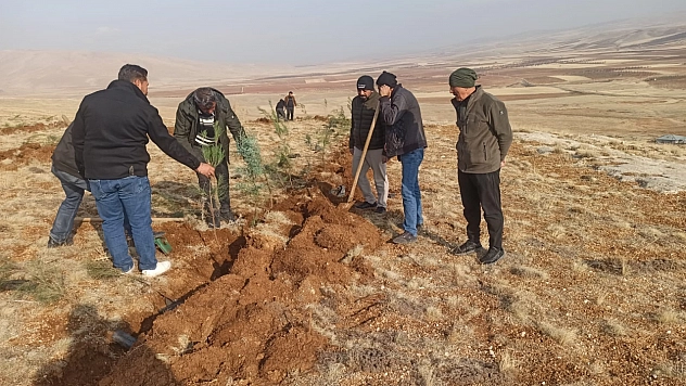 Malatya'da 3 bin fidan toprakla buluştu