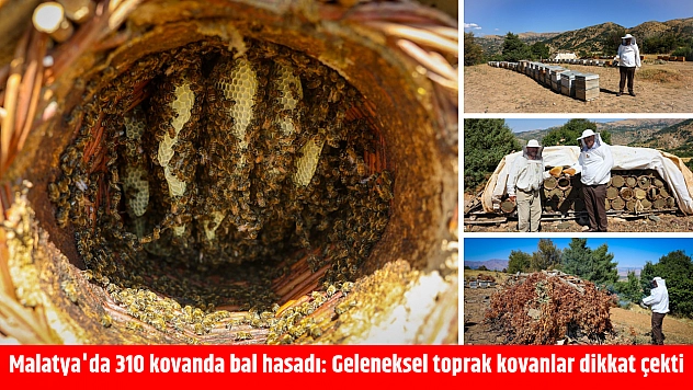 Malatya'da 310 kovanda bal hasadı: Geleneksel toprak kovanlarla üretiliyor