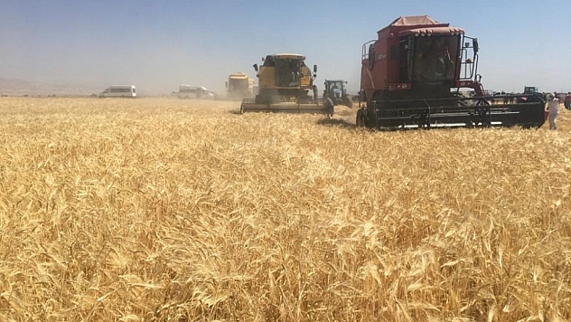 Malatya'da 7 bin 873 dekar alanda hasat başladı: Yüksek Verim Bekleniyor!