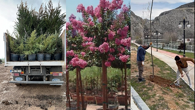 Malatya'da 7 binden fazla fidan toprakla buluştu