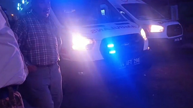 Malatya'da kardeşlerin dut kavgası: 3 kişi yaralandı