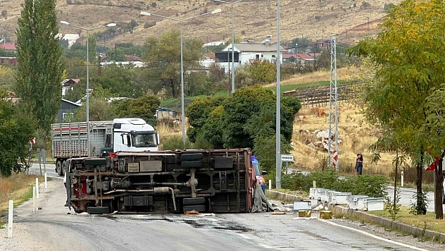 Malatya-Adıyaman yolunda arı yüklü kamyon devrildi: 2 yaralı