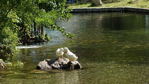 Malatya'da Artan Sıcaklıklara Karşı Serin Bir Kaçış: İşte Şehrin En Güzel Piknik Alanları!