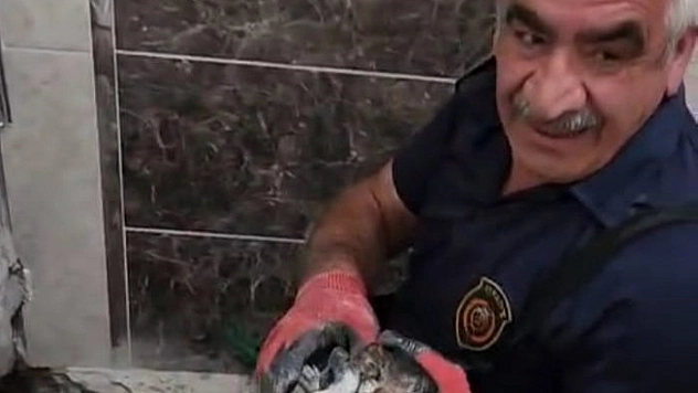 Malatya'da itfaiyeden kediyi kurtarma operasyonu!
