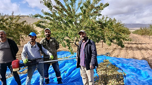 Malatya'da badem bereketi var, üreticinin gözü pazarda!
