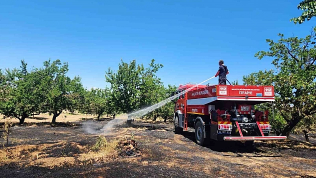 Malatya'da alevler yükseldi! 6 ilçede kayısı bahçeleri zarar gördü!