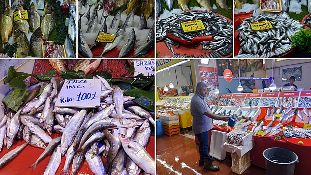 Malatya'da balık fiyatları dibi gördü: Fiyatlar 100 TL'ye düştü