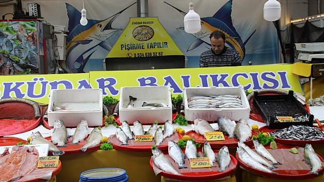 Malatya'da balık sezonu kapandı: Son dönemin balıkları hangileri? Hamsi mi, Somon mu?