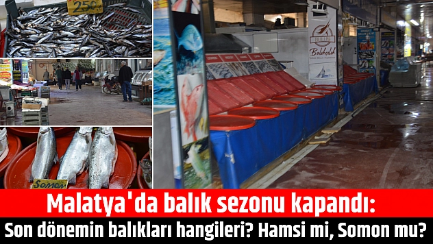 Malatya'da balık sezonu kapandı: Son dönemin balıkları hangileri? Hamsi mi, Somon mu?