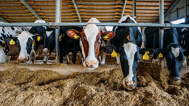 Malatya'da besi OTB'nin üstyapı çalışmaları sürüyor