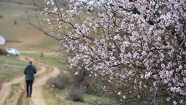 Malatya'da bugün hava nasıl olacak? İşte ilçe ilçe sıcaklıklar