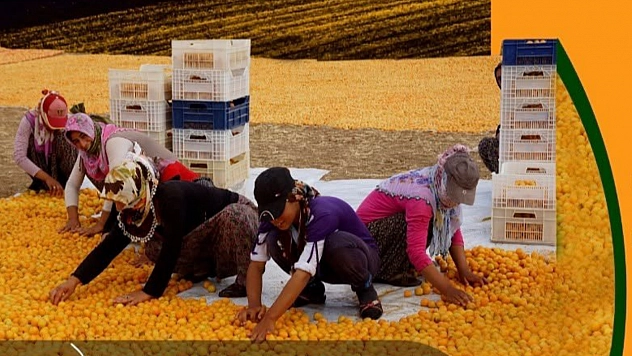 Malatya'da büyük yarışma! Birinciye 200 bin TL ödenecek…