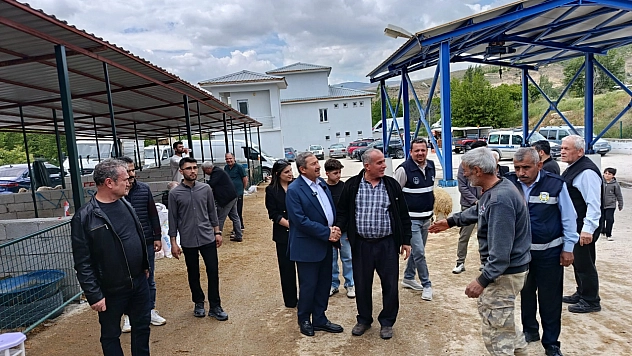 Malatya'da Canlı Hayvan Pazarında Bayram yoğunluğu!
