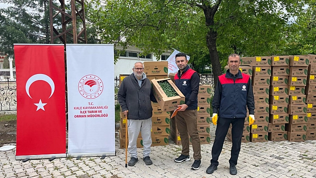 Malatya'da çiftçilere sebze fidesi dağıtıldı